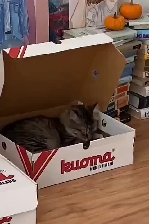 Перерыв на дневной сон