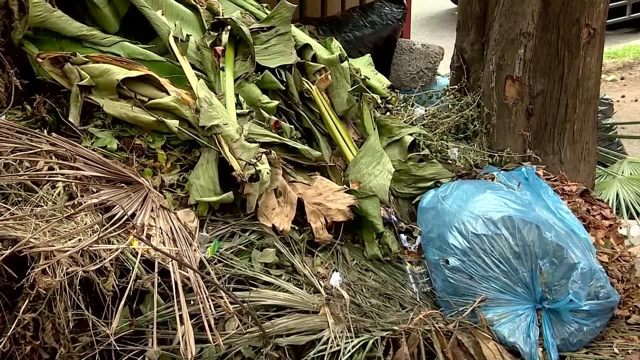 Почему мусорные баки в Сочи переполнены и когда город станет чистым