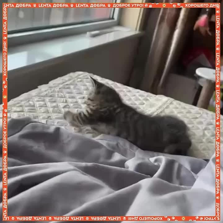 С бодрым утром!