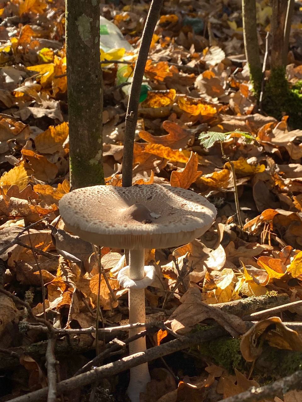 О погоде на 29 октября. В Краснодарском крае облачно с прояснениями О погоде на 29 октября. В Краснодарском крае облачно с прояснениями