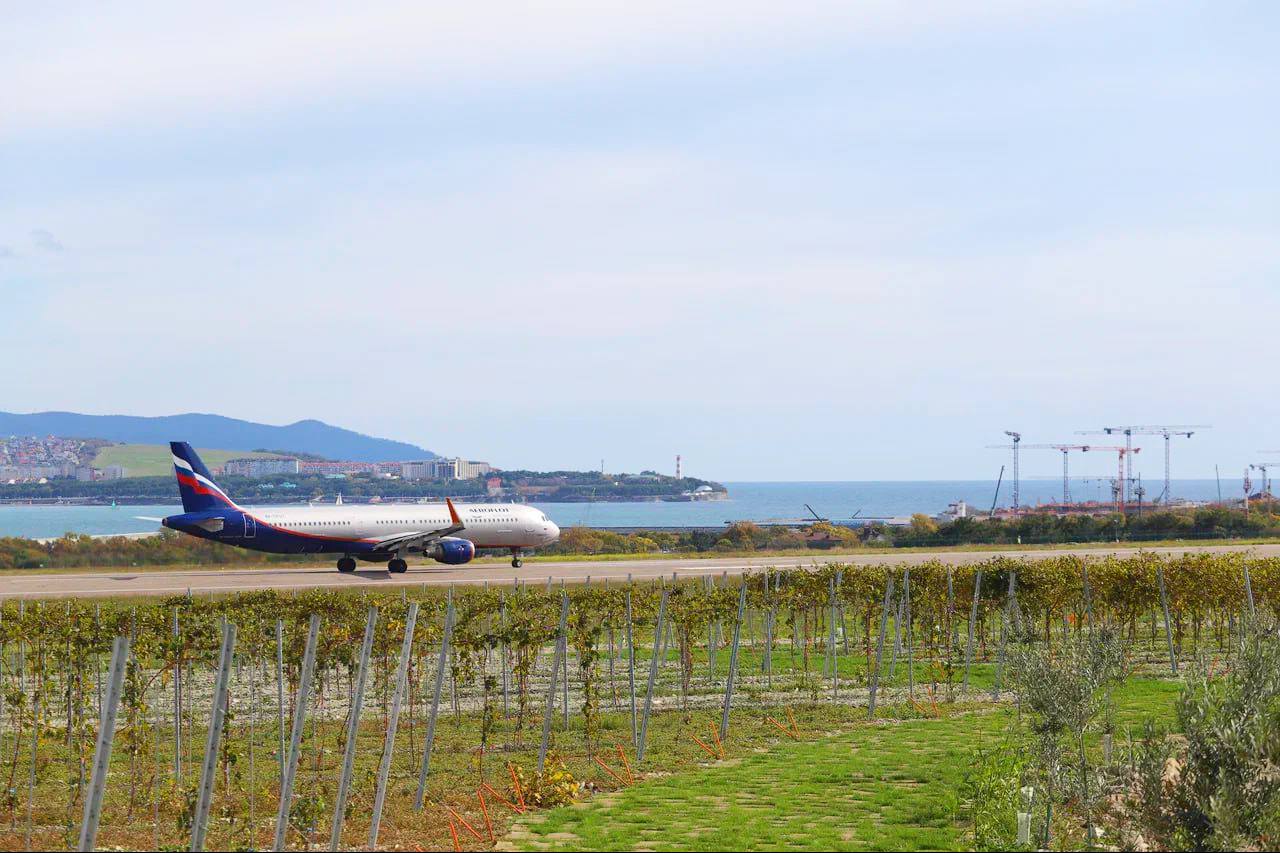 Аэропорт, парк и пикник у моря Аэропорт, парк и пикник у моря