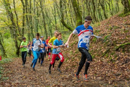 Ориентировщики из Геленджика успешно выступили на краевых соревнованиях