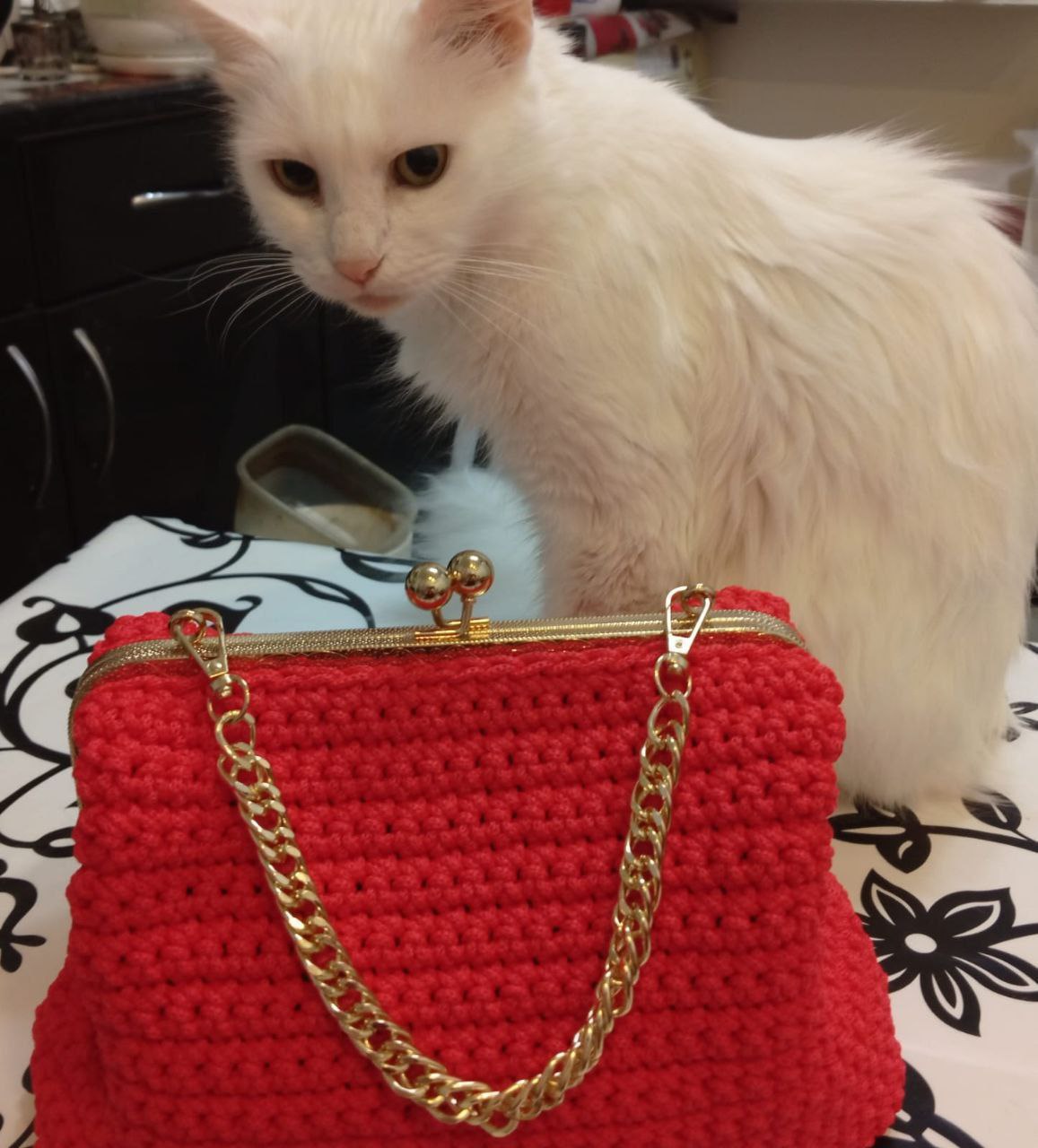 Доброе утро, Кубань!. Краснодар +15 °С Доброе утро, Кубань!. Краснодар +15 °С