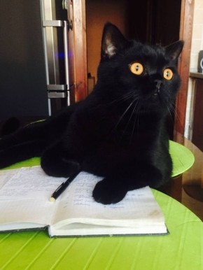 Доброе утро, Кубань!. Краснодар +15 °С