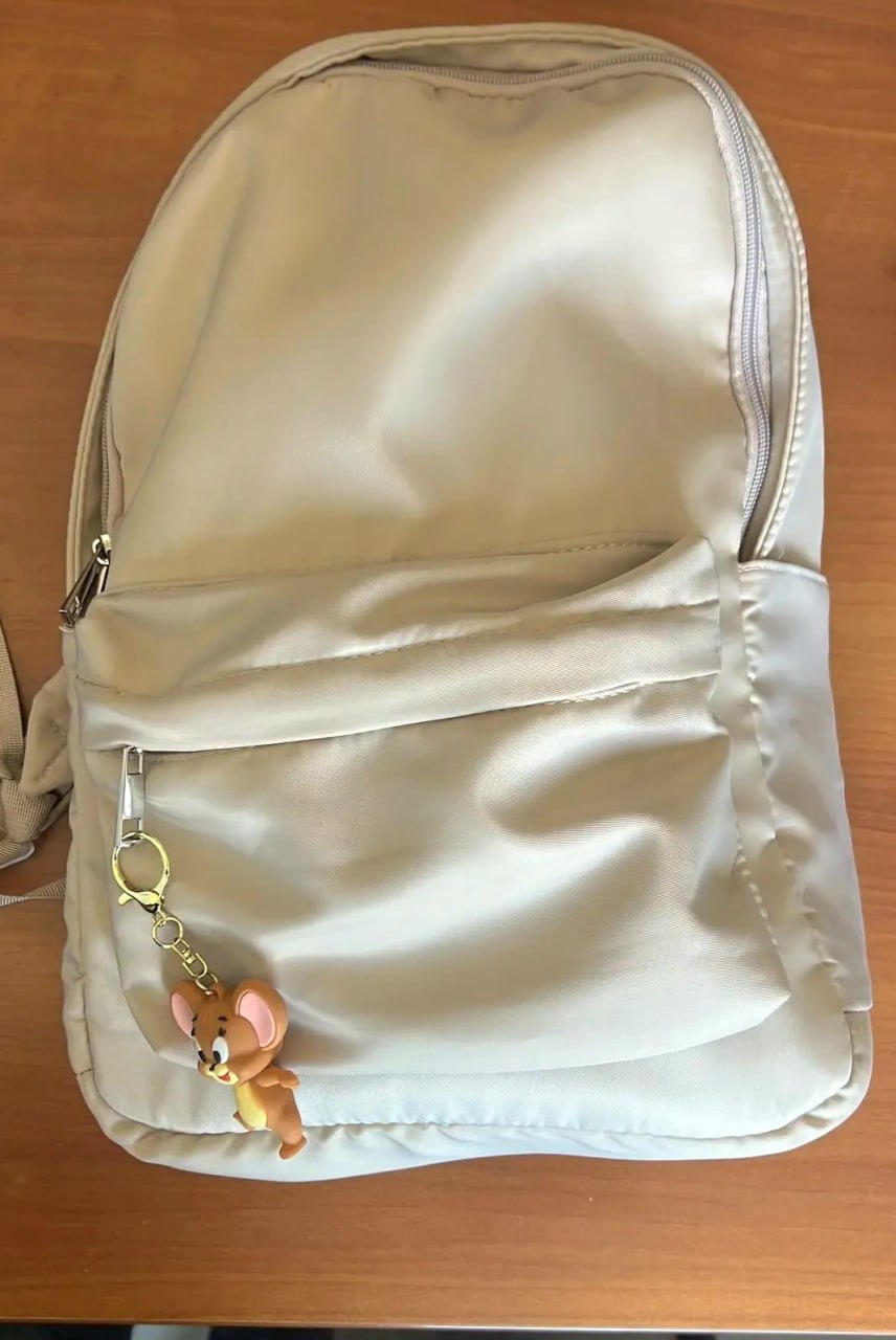 Транспортные полицейские Сочи направили в суд дело о краже на вокзале