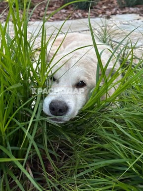 Продолжаем рубрику «Краснокадр»