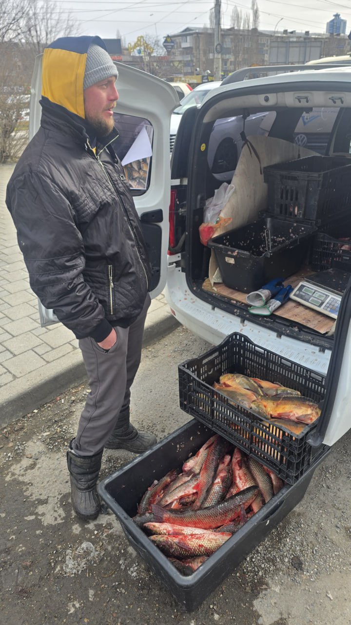 Напоминание о рисках, связанных с приобретением рыбной продукции в местах несанкционированной торговли Напоминание о рисках, связанных с приобретением рыбной продукции в местах несанкционированной торговли