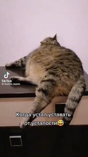 ВЦИОМ выяснил: больше трети наших соотечественников постоянно чувствуют себя разбитыми