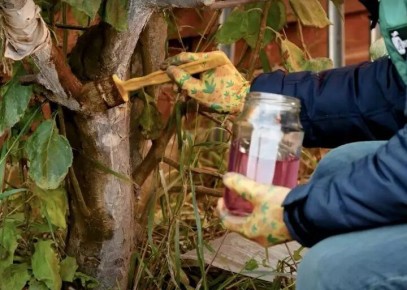 Ноябрьские заботы: Лунный календарь садовых работ на первую неделю месяца