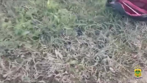 Молодого наркозакладчика с мефедроном задержали в Белореченском районе