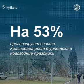 Власти Краснодара ожидают значительного увеличения туристического потока в период новогодних каникул 2025-2026 годов