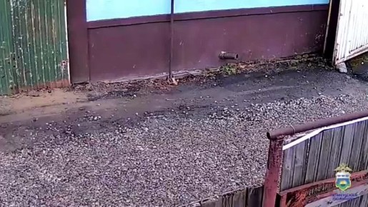 Добрый бомж украл 750 000 рублей и раздал их друзьям