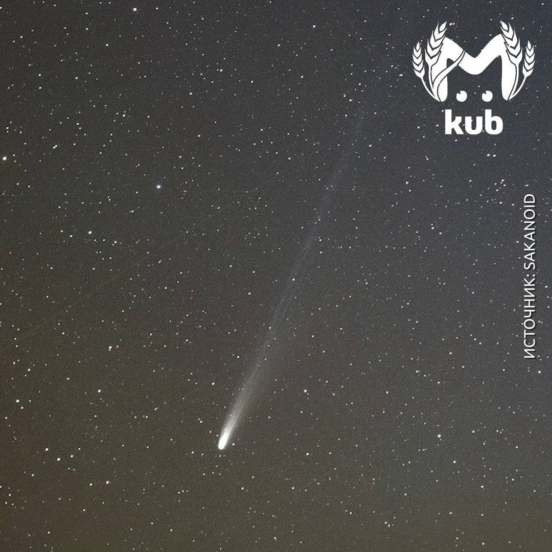 У неё шикарный хвост и роскошное тело У неё шикарный хвост и роскошное тело