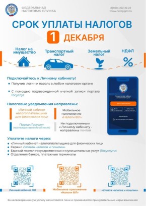 Уплатить имущественные налоги за 2024 год необходимо до 1 декабря