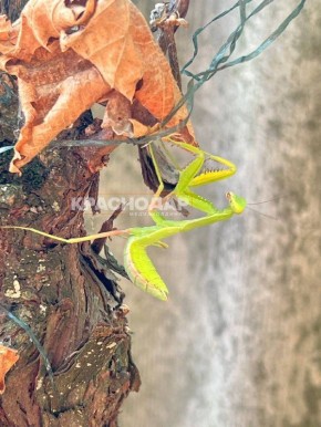 Продолжаем рубрику «Краснокадр»