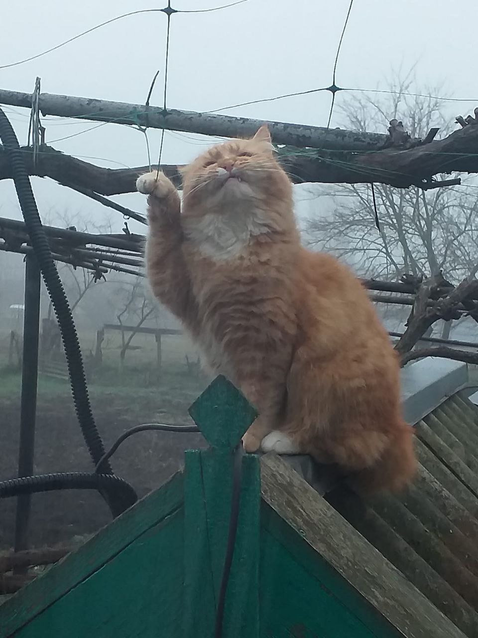 Доброе утро, Кубань!. Краснодар +17 °С