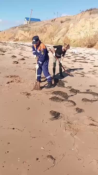 Точечные выбросы нефтепродуктов ликвидируют в Темрюкском районе