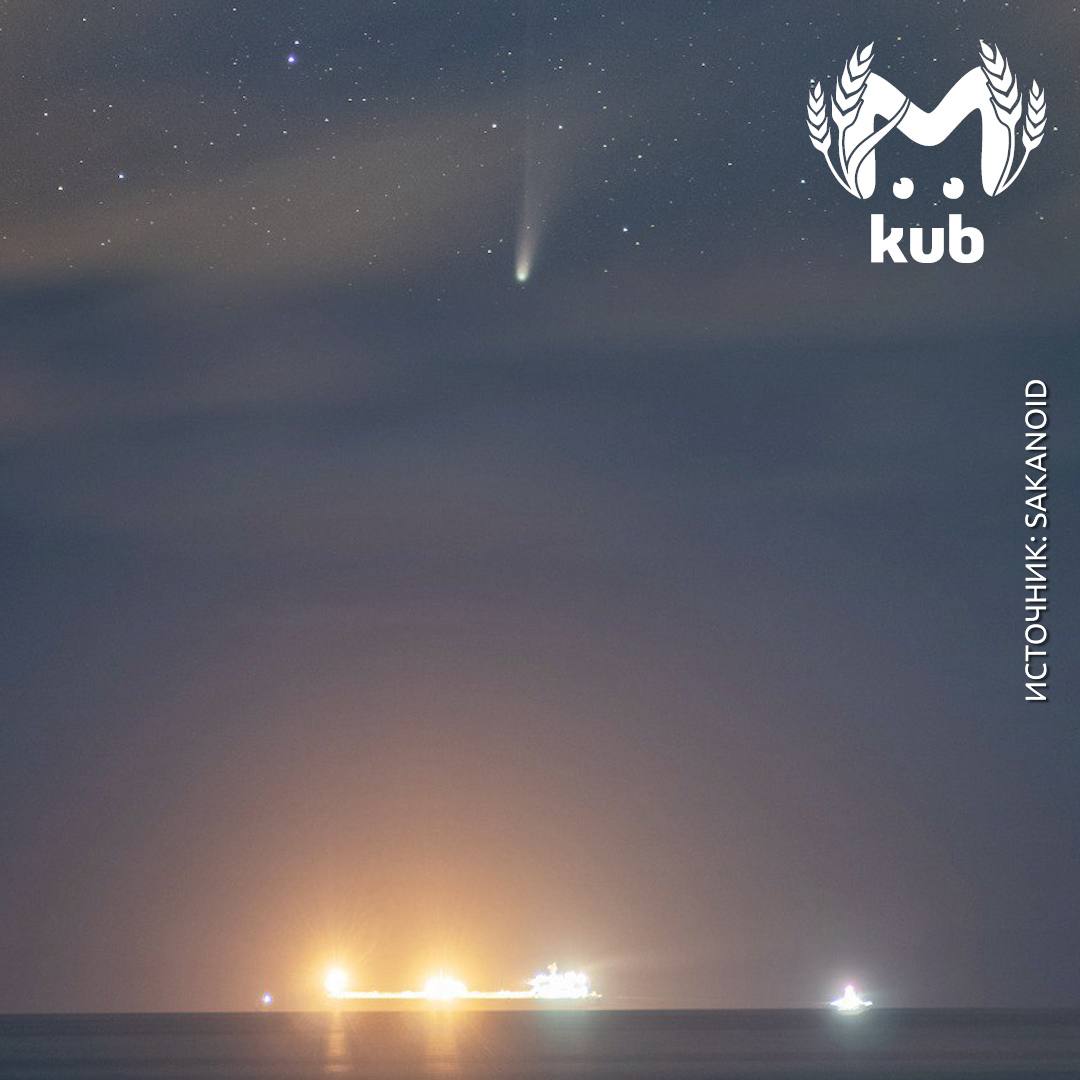 У неё шикарный хвост и роскошное тело У неё шикарный хвост и роскошное тело