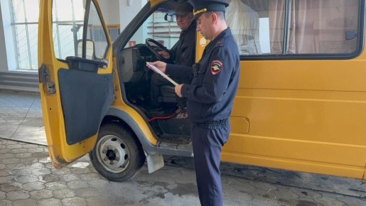 Сотрудниками Госавтоинспекции Красноармейского района в рамках проведения 3 этапа целевой профилактической акции «Внимание — дети!» проведены беседы с водителями автотранспортных предприятий, осуществляющих перевозку детей