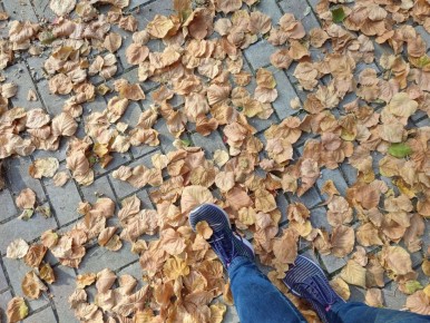 В кадре не только вы. Осенний кадр в листьях выглядит романтично, но реальность куда прозаичнее