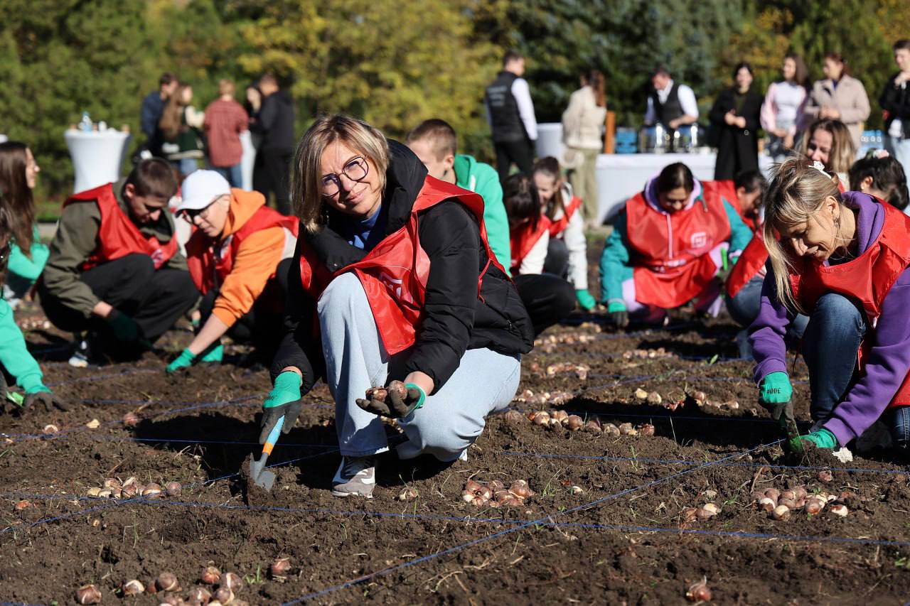 150 тысяч тюльпанов высадили в Краснодаре