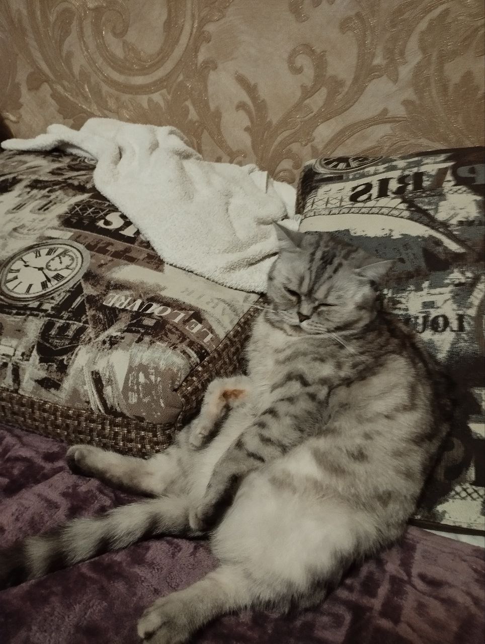 Доброе утро, Кубань!. Краснодар +17 °С Доброе утро, Кубань!. Краснодар +17 °С