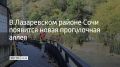 Новую аллею обустроят на Батумском шоссе вдоль реки Восточный Дагомыс
