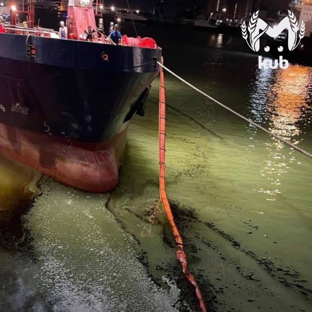 Гражданина Китая оштрафовали на 90к за разлив мазута в Цемесской бухте Новороссийска