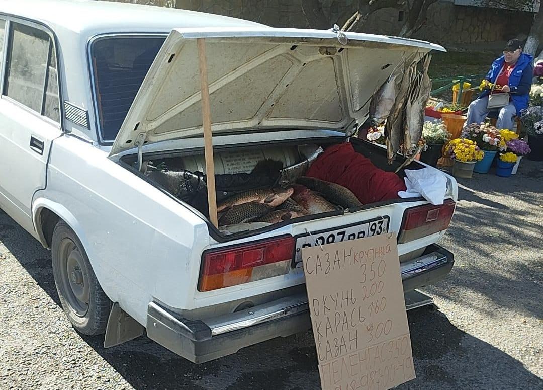 Напоминание о рисках, связанных с приобретением рыбной продукции в местах несанкционированной торговли