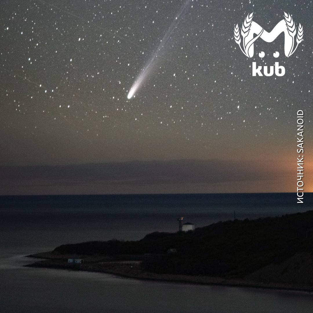 У неё шикарный хвост и роскошное тело У неё шикарный хвост и роскошное тело