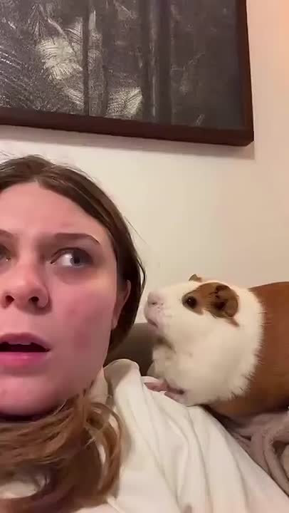 Как мы видим себя, когда рассказываем вам новости