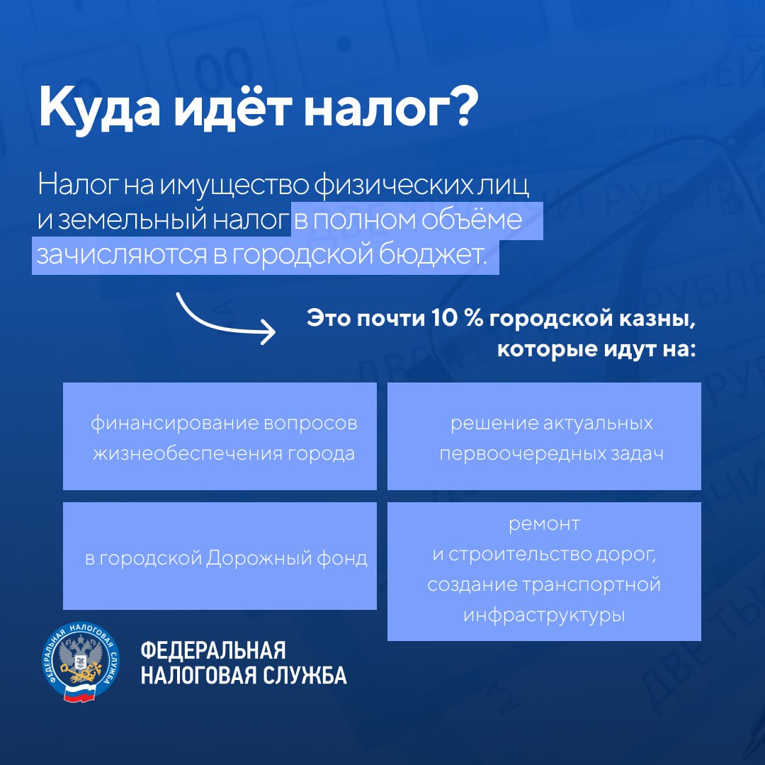 Земельный, транспортный и налог на имущество должны заплатить жители Краснодара до 1 декабря Земельный, транспортный и налог на имущество должны заплатить жители Краснодара до 1 декабря