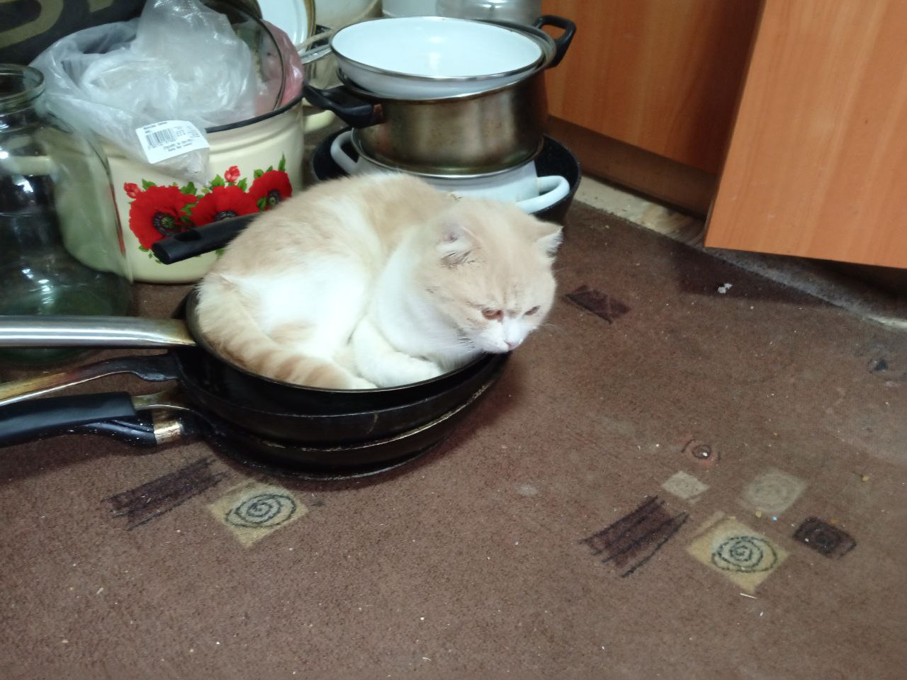 Доброе утро, Кубань!. Краснодар +17 °С Доброе утро, Кубань!. Краснодар +17 °С