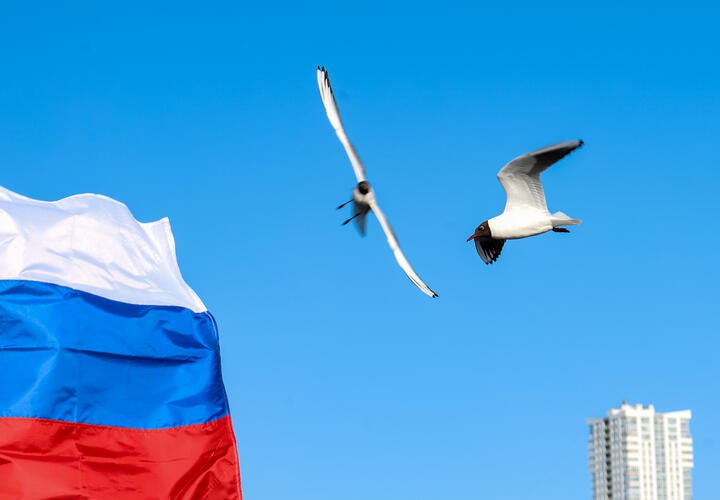 Краснодар отмечает День народного единства: куда пойти и что посмотреть на выходных