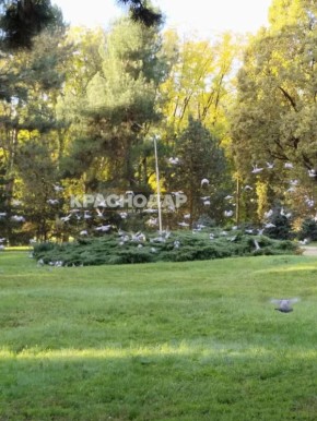 Продолжаем рубрику «Краснокадр»