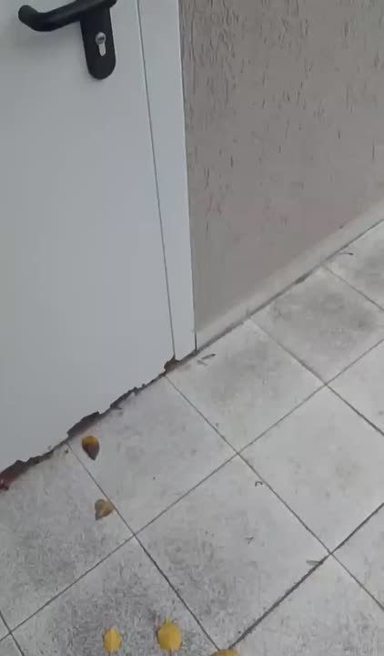 От подписчиков В Ейске закрыли волонтерский центр поддержки СВО