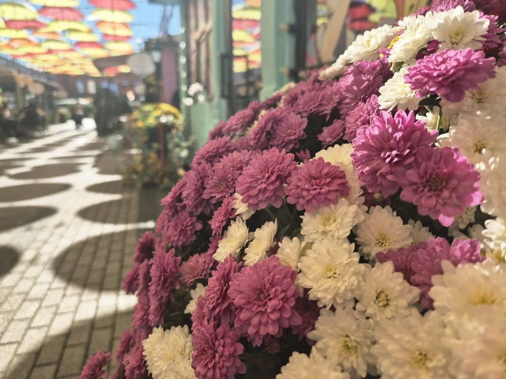 Фотопрогулка по любимой локации горожан Фотопрогулка по любимой локации горожан