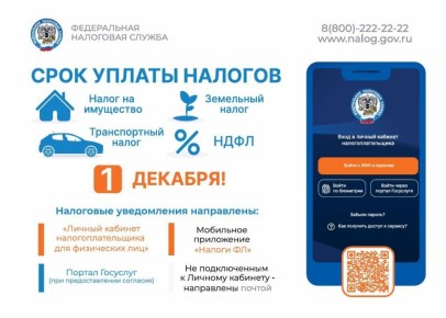 Срок уплаты налогов 1 декабря!