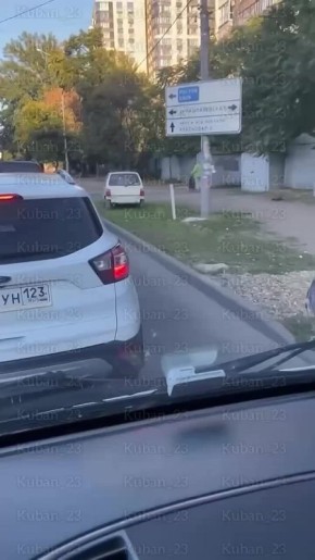 Самая ленивая птица. ...была замечена в Краснодаре