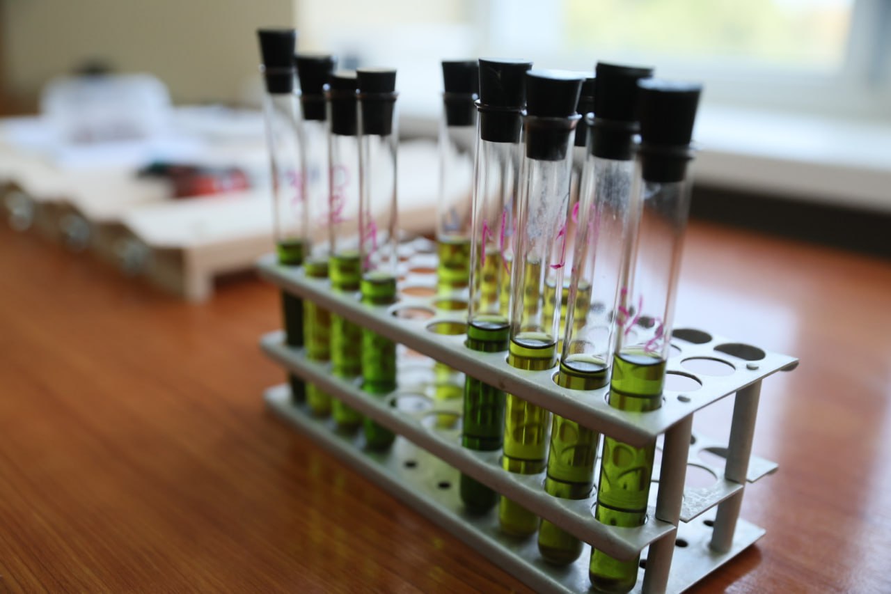 Вениамин Кондратьев посетил Федеральный научный центр биологической защиты растений Вениамин Кондратьев посетил Федеральный научный центр биологической защиты растений