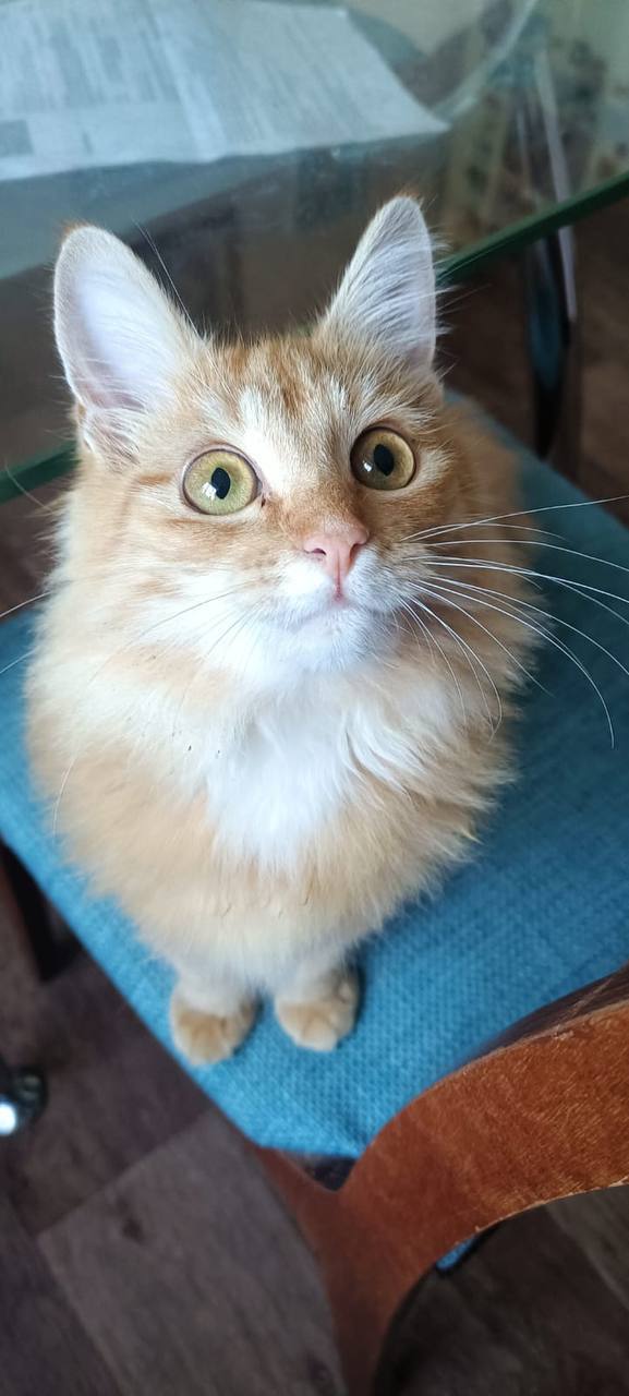 О погоде на 31 октября. В Краснодарском крае переменная облачность О погоде на 31 октября. В Краснодарском крае переменная облачность