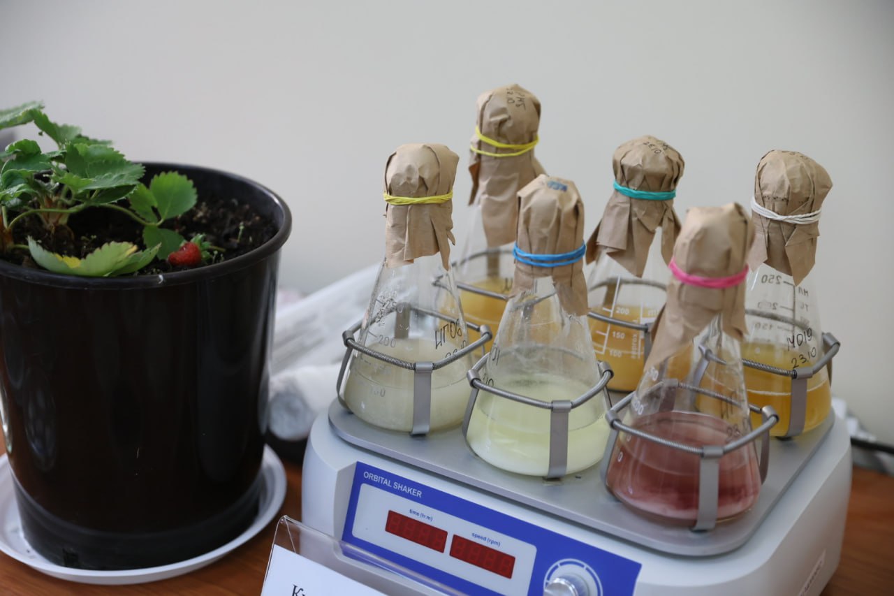 Вениамин Кондратьев посетил Федеральный научный центр биологической защиты растений Вениамин Кондратьев посетил Федеральный научный центр биологической защиты растений