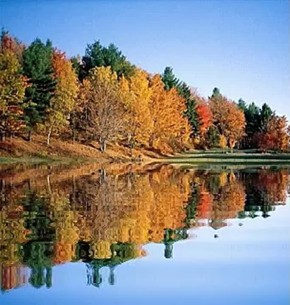 С какой погоды начнется ноябрь: прогноз на субботу и воскресенье