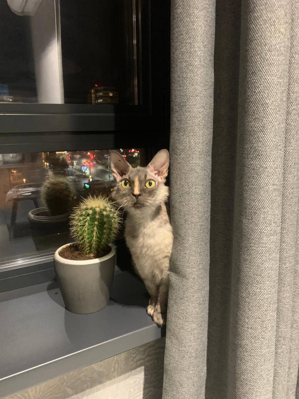 О погоде на 31 октября. В Краснодарском крае переменная облачность О погоде на 31 октября. В Краснодарском крае переменная облачность