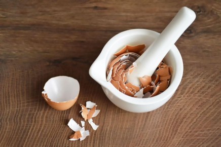 Не выбрасывайте яичную скорлупу: с ней вам никакой сантехник не нужен