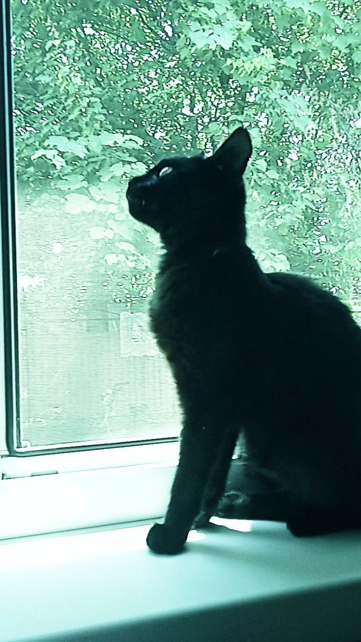 Доброе утро, Кубань!. Краснодар +18 °С Доброе утро, Кубань!. Краснодар +18 °С