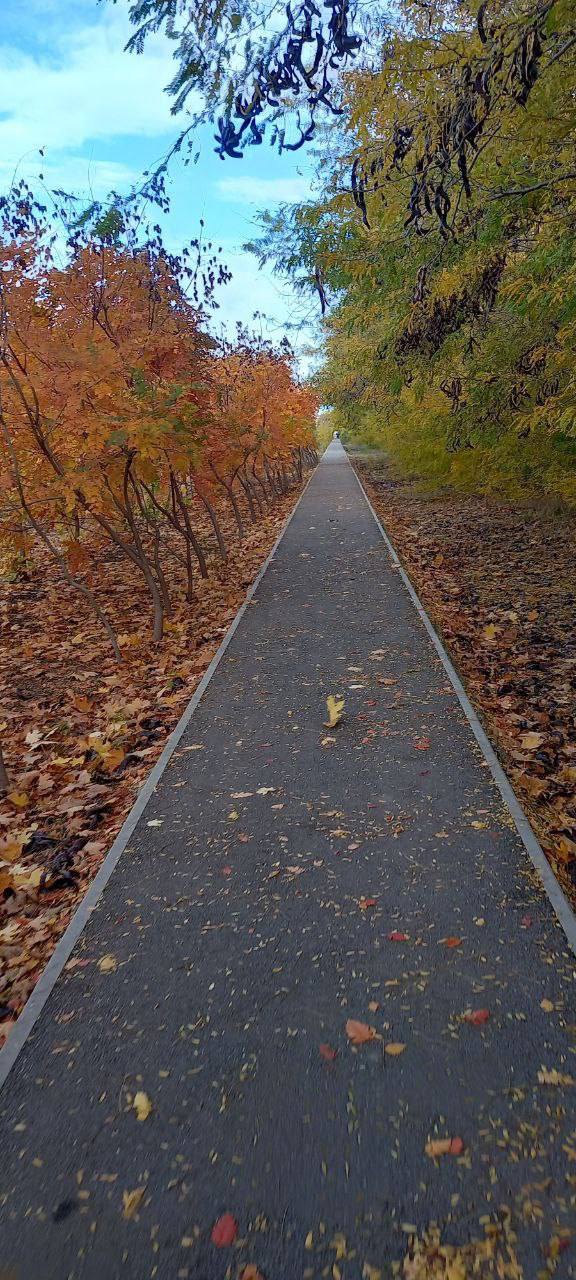 О погоде на 1 ноября. В Краснодарском крае переменная облачность О погоде на 1 ноября. В Краснодарском крае переменная облачность