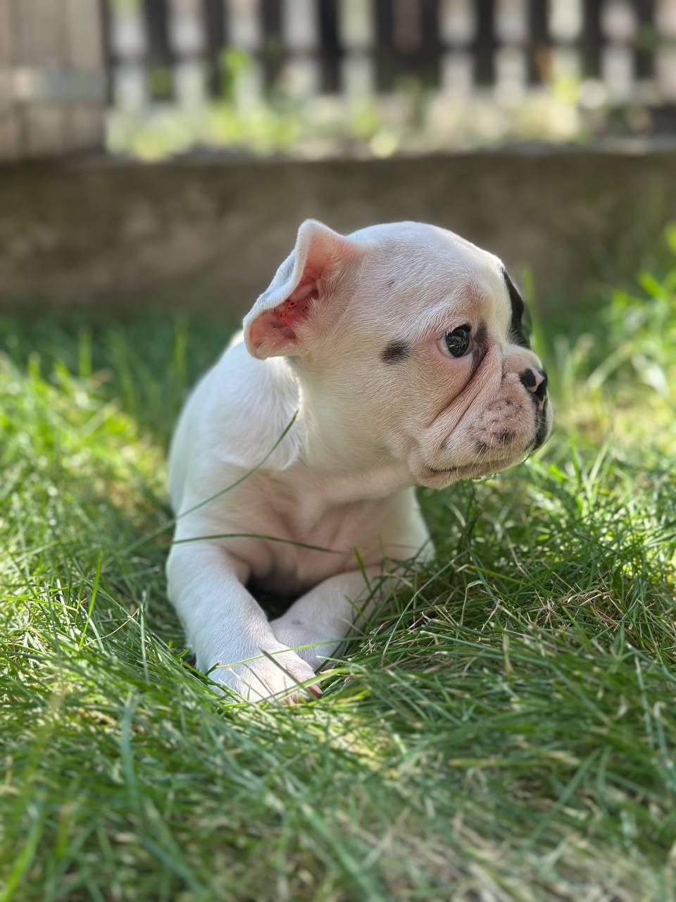 Доброе утро, Кубань!. Краснодар +16 °С Доброе утро, Кубань!. Краснодар +16 °С