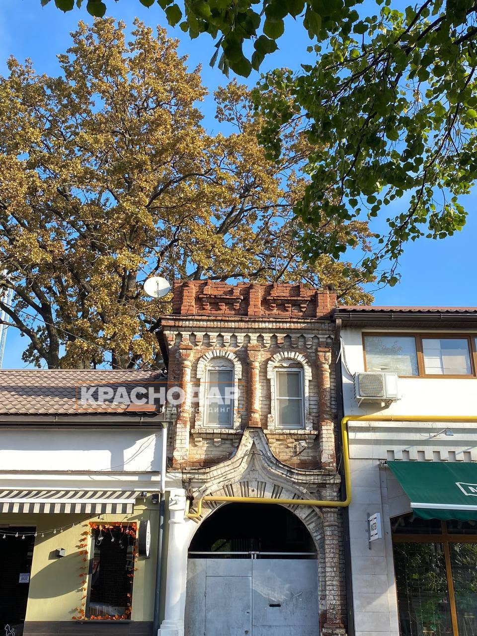 Голосуем за лучший «Краснокадр»