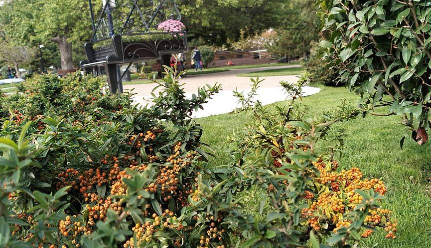 Информация о качестве атмосферного воздуха в городе Новороссийске за период наблюдений 29 – 30 октября